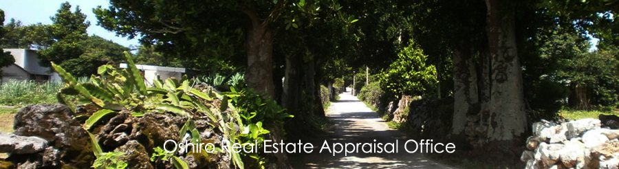 ���s���Y�Ӓ莖����