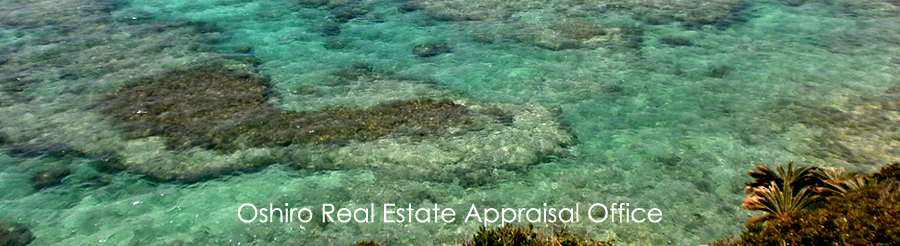 ���s���Y�Ӓ莖����